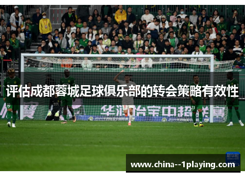 评估成都蓉城足球俱乐部的转会策略有效性 评估成都蓉城足球俱乐部的转会策略有效性