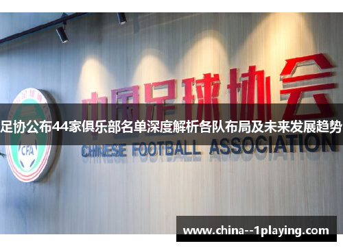 足协公布44家俱乐部名单深度解析各队布局及未来发展趋势