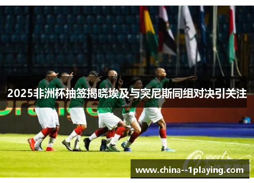 2025非洲杯抽签揭晓埃及与突尼斯同组对决引关注