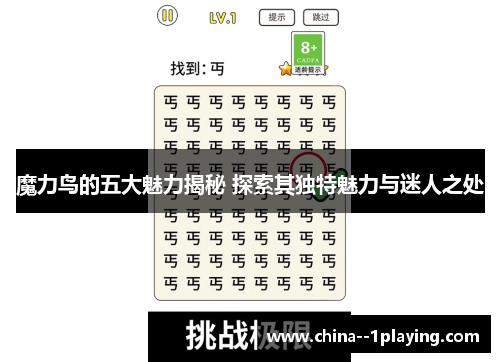 魔力鸟的五大魅力揭秘 探索其独特魅力与迷人之处